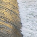 Quando viene la sera – Diario di una curatrice